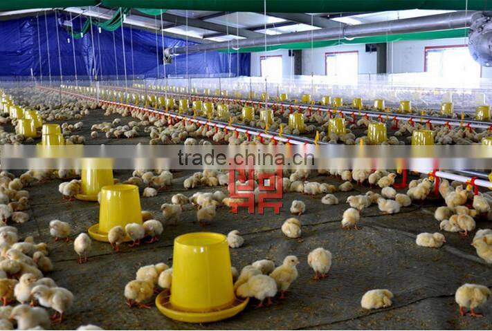 Floor Feeder for poultry farm