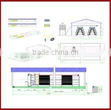 LIU TA $242000 auto feeding and drinking equipment chicken farms