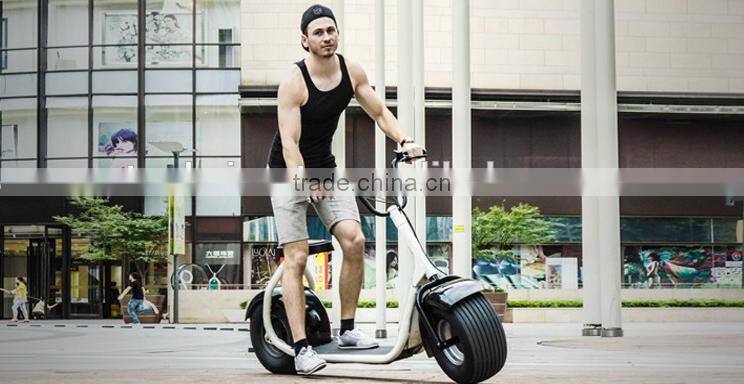 cool Citycoco scooter 1000W Brushless/Popular Electric Scooter 800W/ 2Wheels scooter/City Mobility scooter 800W (TKE-S800)