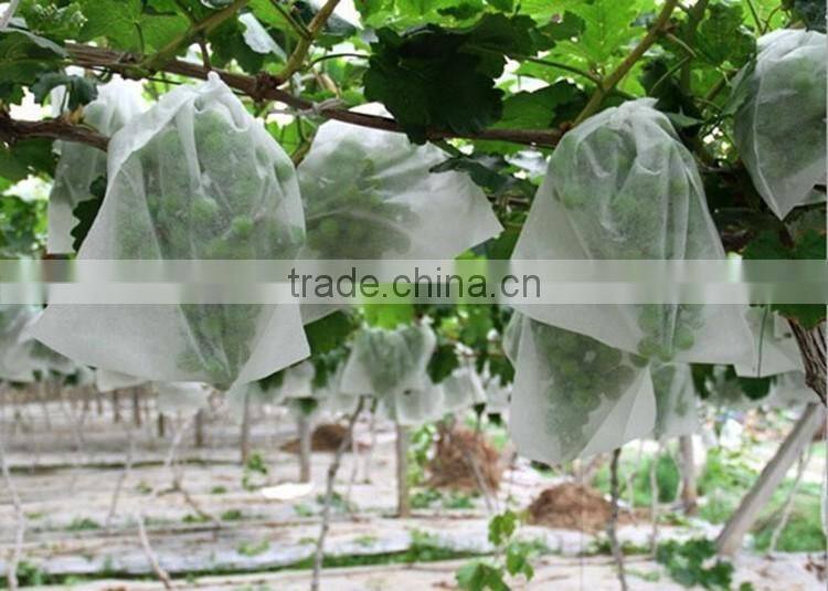 Good Strength Agriculture Protection Nonwoven Fabric Banana Bag