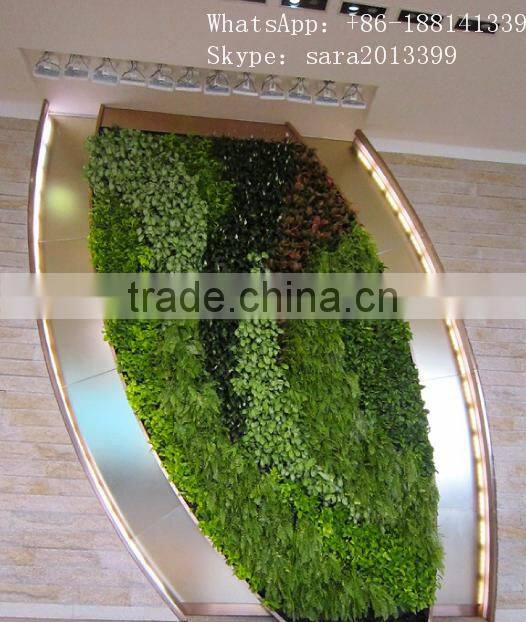 CHY060830 Home decorative wall/hanging plant wall/wall grass mat