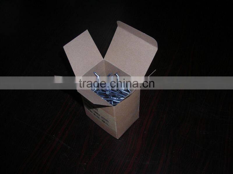 polishing common iron round nail