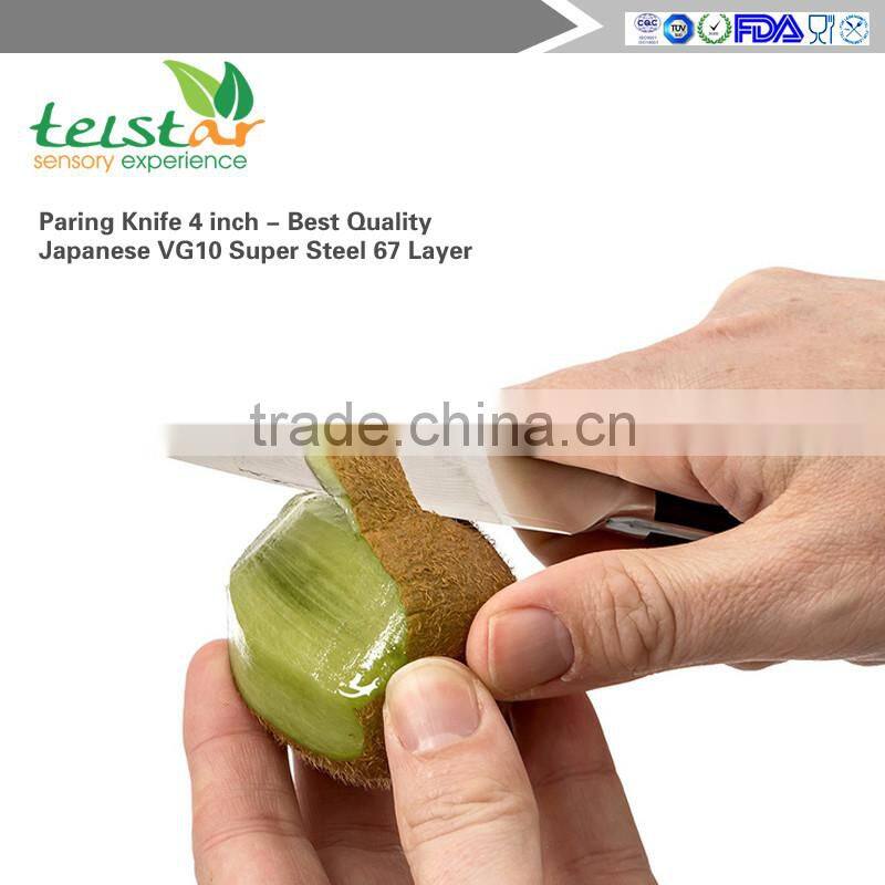 Paring Knife 4 inch - Best Quality Japanese VG10 Super Steel 67 Layer High