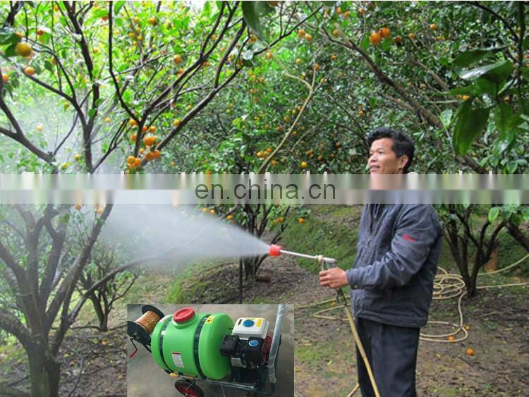 Greenhouse Thermal Pest Control Fogging Machine Agriculture Sprayer Machine