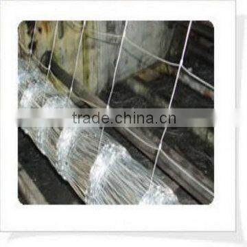 Welded Wire Mesh with personal factory
