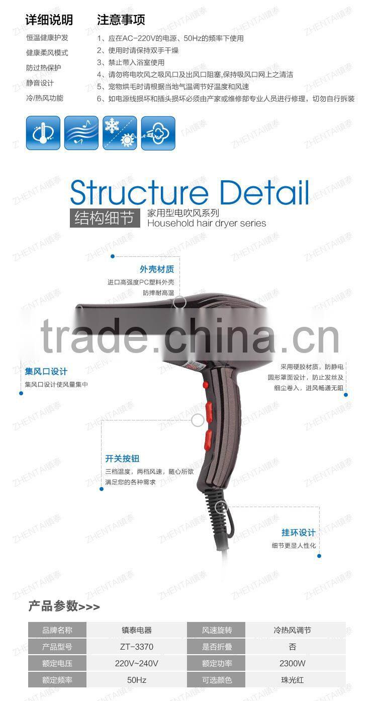Professional Salon Ionic Hair Dryer,Professional Hair Dryer Manufacturers Selling Tool In Hairdressing