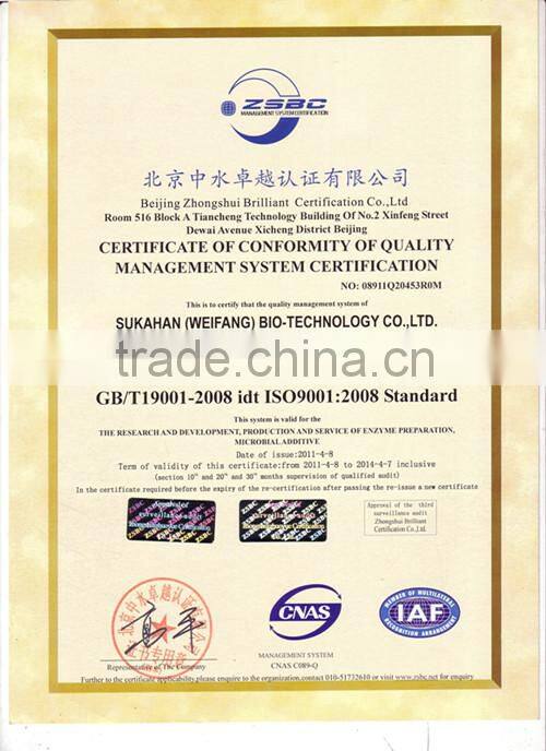 Special bacteria and enzymes for septic tank deodorization and decontamination