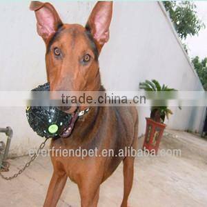 Pet snack ball with food for leakage With Squeaky Voice