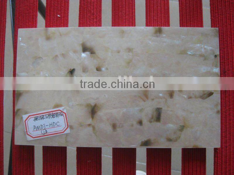 Natural mother of pearl sea shell wall tile