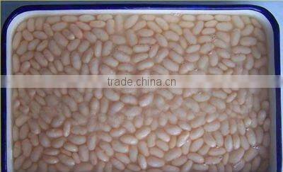 Canned Kidney Beans Canned White Beans in Brine