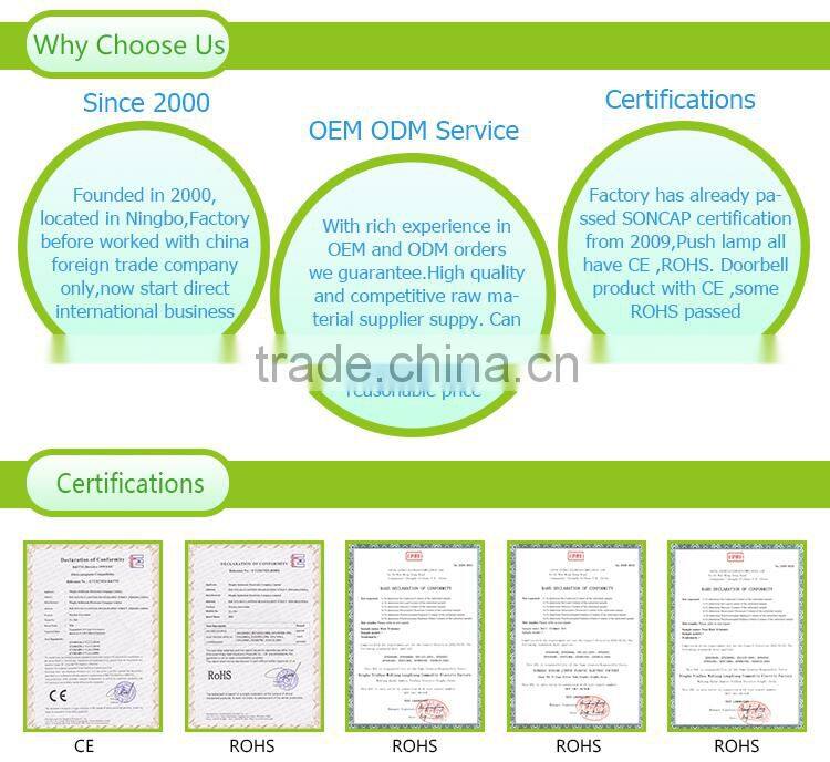 Seldorauk CE,ROHS certification passed battery powered led mini push light