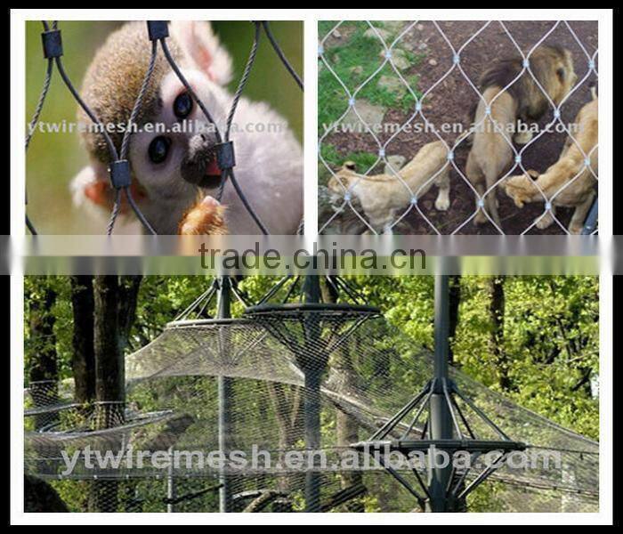 ss304 stainless steel cable net for aviary