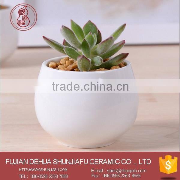 2016 New Design Minimalist Seashell Shaped White Ceramic Small Flower Pots,Succulent plants Pots