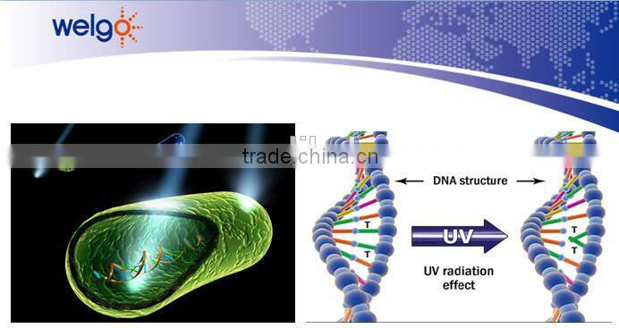 swimming pool uv sterilizer for large flow rate