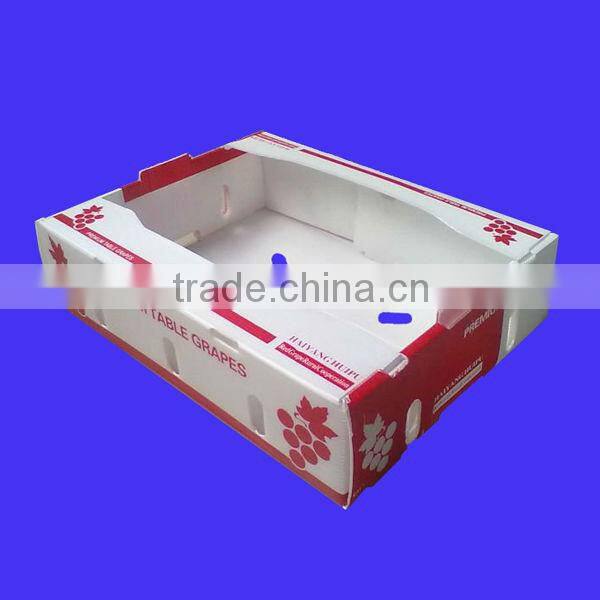 Plastic fruit storage box for keeping fruit fresh