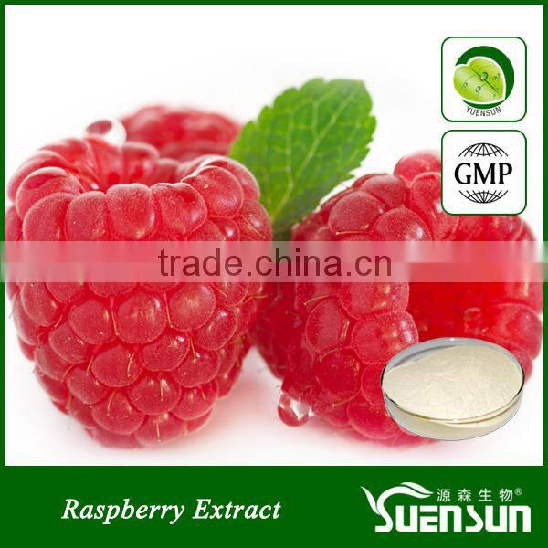 Alibaba gold supplier raspberry extract raspberry powder natural raspberry ketone