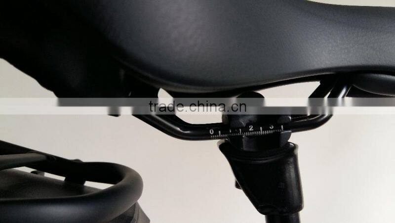 Fashion Electric Bike, Ebike, Electric Bicycle