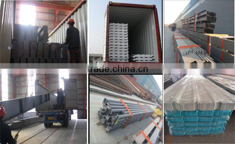 Hot-selling easy assemble steel poultry chicken shed