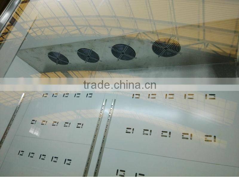 Customized Commercial Display Refrigerator