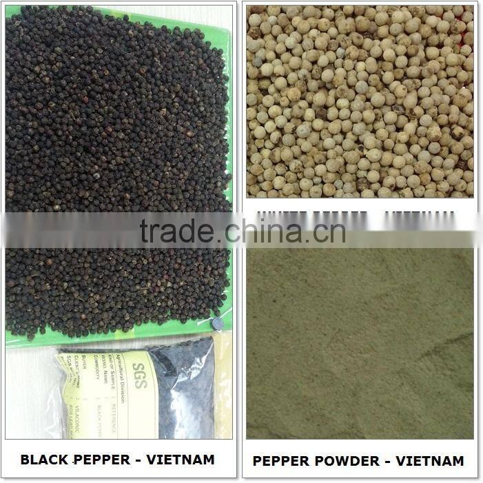 PEPPER (skype: davis.thong, mobile: +84 986 778 999)