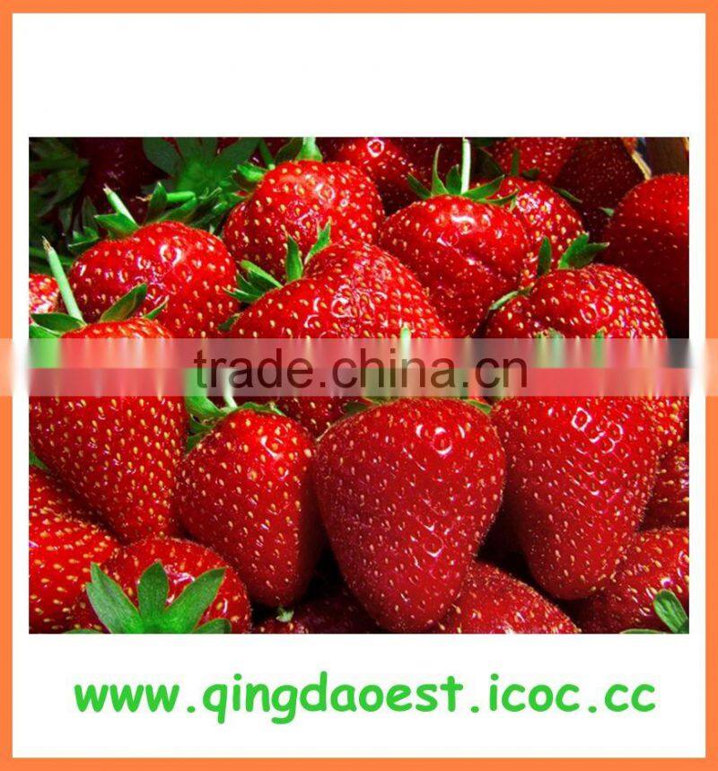 15-25mm For sale Bulk all star Fresh Strawberry