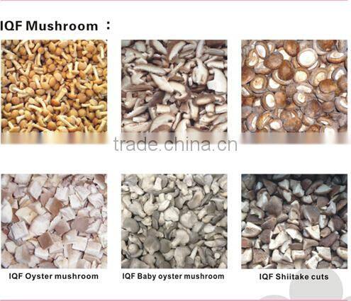 IQF frozen summer truffle high quality good price