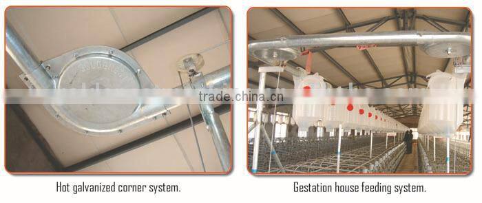 pig animal farming / farm equipment