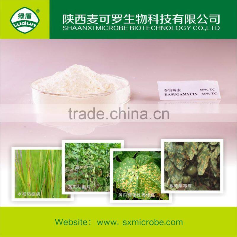 High quality fungicide kasugamycin 70% TC