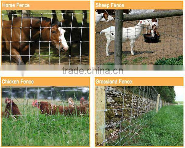 best price cattle electric fence best quality,low price (professional manufacturer)