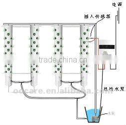 Vegetable Plant Smart Vegetable Plant