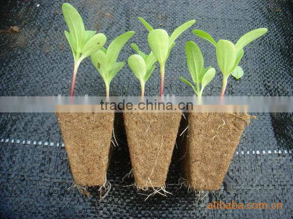 Cheap Best sell rice plant seedling tray for sale
