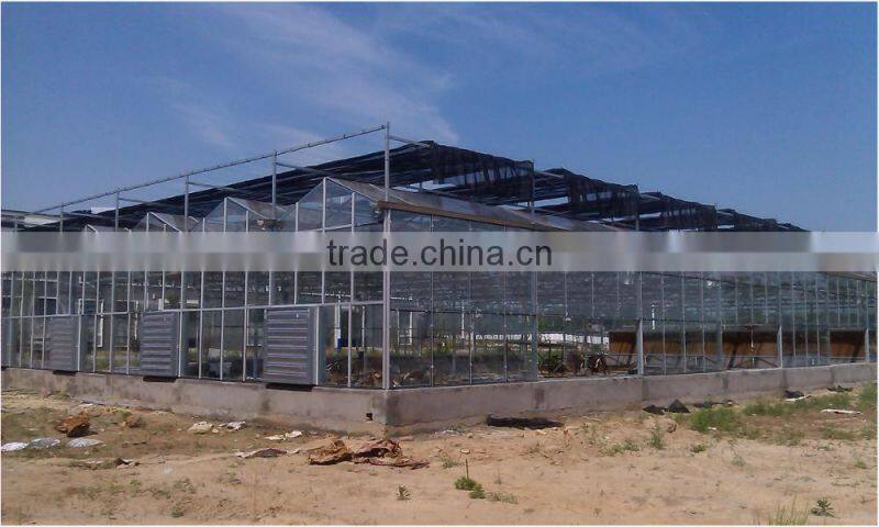 Commercial/agricultural large span glass green house for strawberry/tomatoes