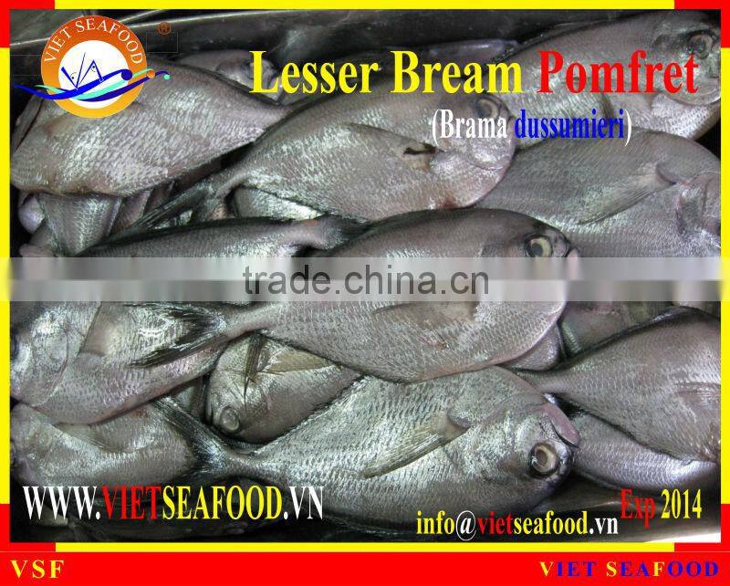 FROZEN W/R LESSER BREAM POMFRET