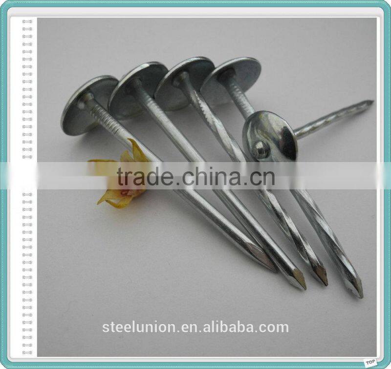 Galvanized Umbrella Head Roofing Nail/1-4 Inch Roofing Nails