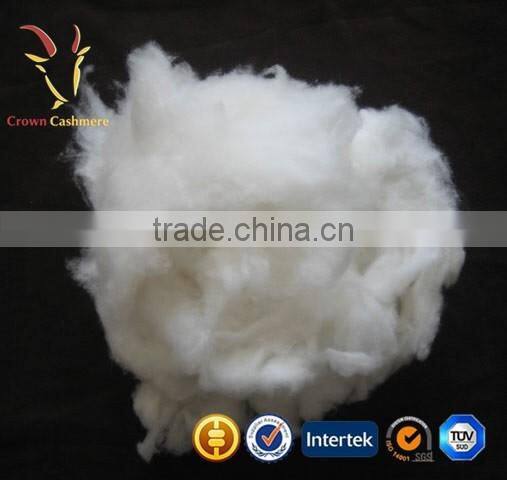 Sheep types of Cashmere Ltd in Mongolia