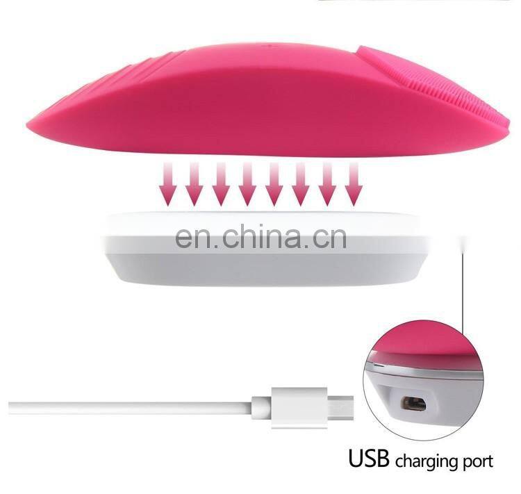 The Newest Deep Pore Facial Cleansing Brush for Personal Home Use