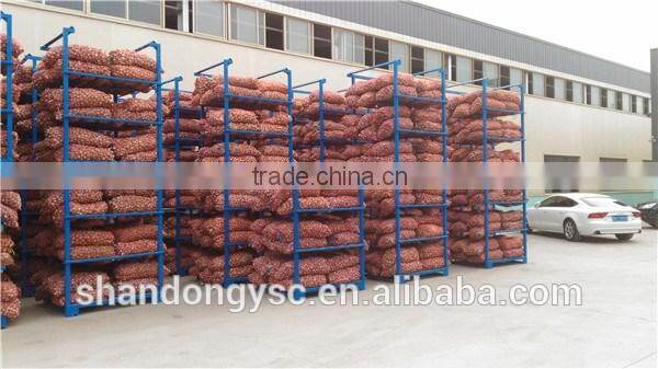 The Best Vegetable Product from China Fresh Garlic