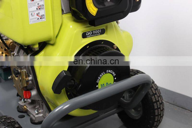 BISON(CHINA) BS-D250 New Design Professional 250Bar Portable Water High Pressure Cleaner For Sale