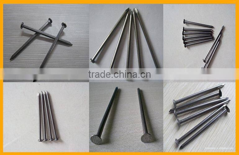 Galvanized Steel Concrete Nail Manufacture