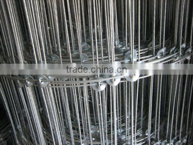 Welded Wire Mesh For Protecting Fence