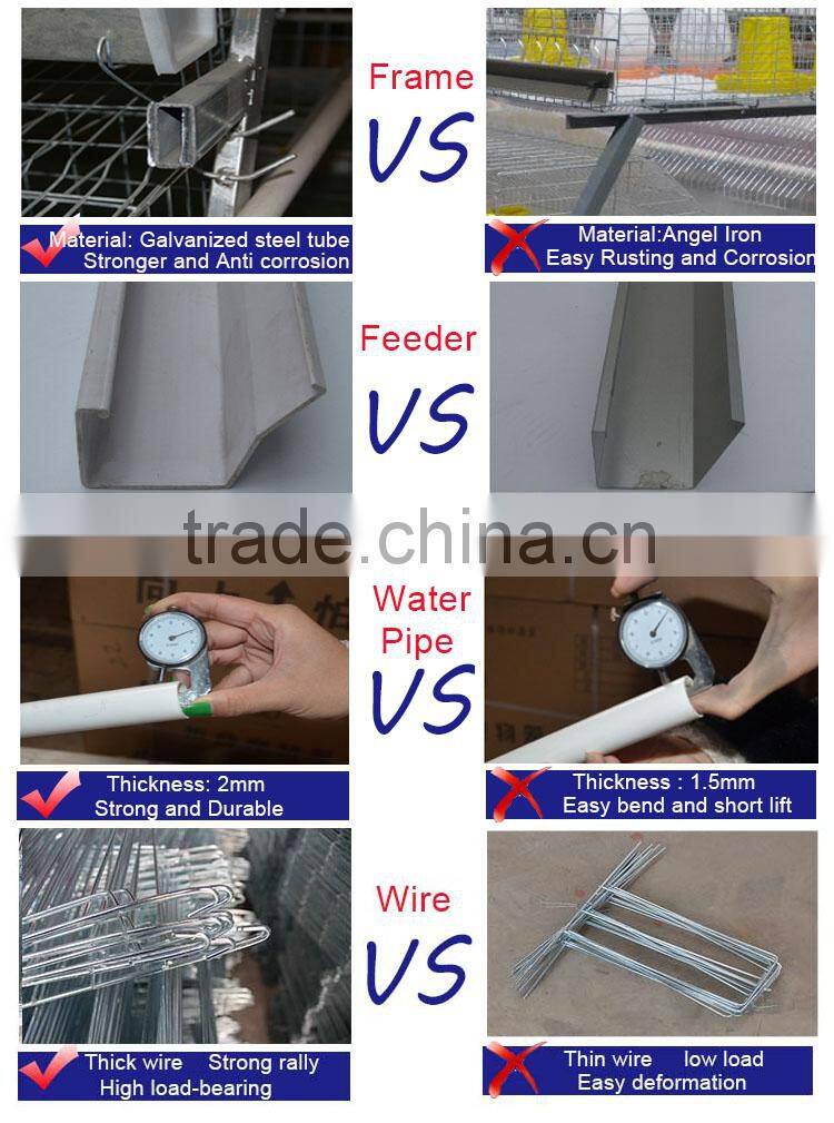 China factory commercial chicken use automatic hen layer cage for chickens