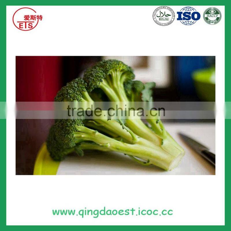 hot sale fresh broccoli for sale 800-900g/pc