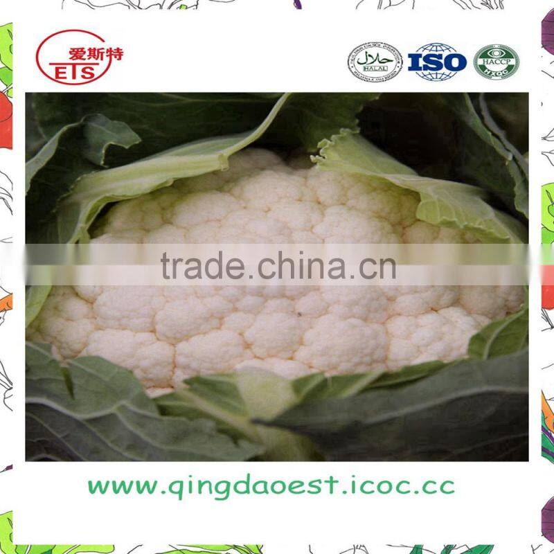 Organic green vegetables fresh cauliflower from china