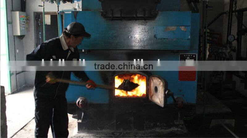 Top quality DZH coal fired steam boiler for Dyeing