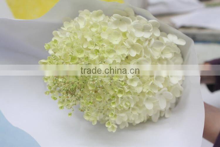 Reasonable price crazy selling decorative supplies white hydrangea