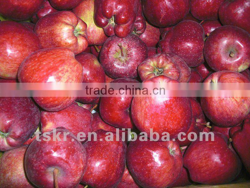 fresh custard apple red apple