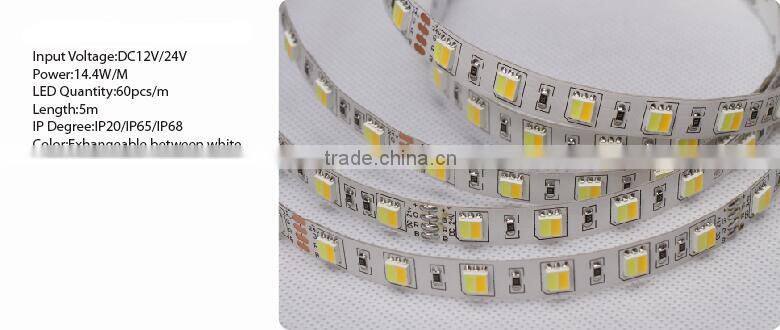 7.2W/M DC12V IP20/IP65 SMD5050 LED strip lighting