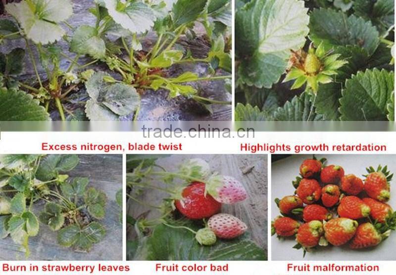 Huminrich 100% Water Soluble Organic Potassium Humate Best Fertilizer For Strawberry