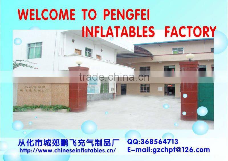 inflatable entrance arch/chinese dragon inflatable arch
