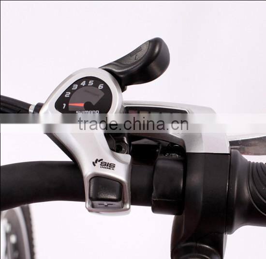 Electric bicycle (Model SEB500F)